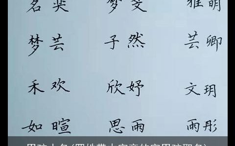 男孩小名(罗姓带木字旁的字男孩取名)