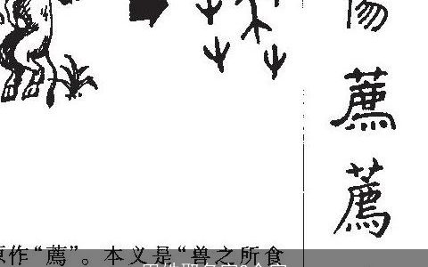 田姓取名字2个字