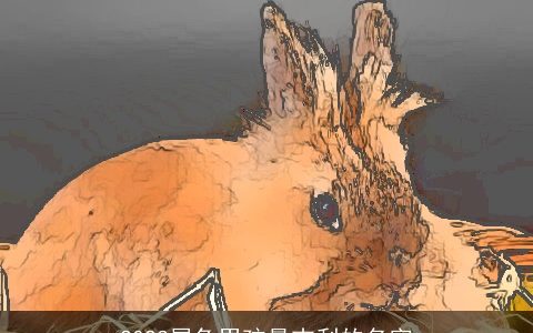 2023属兔男孩最吉利的名字