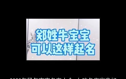 2024年龙年宝宝名字大全 女孩名字寓意好