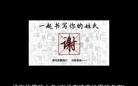 姓谢的男孩小名(谢姓有诗意的男孩名字)