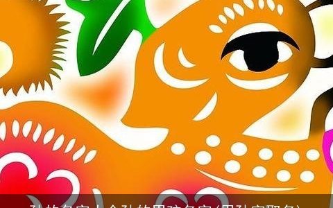 孙的名字大全孙的男孩名字(用孙字取名)