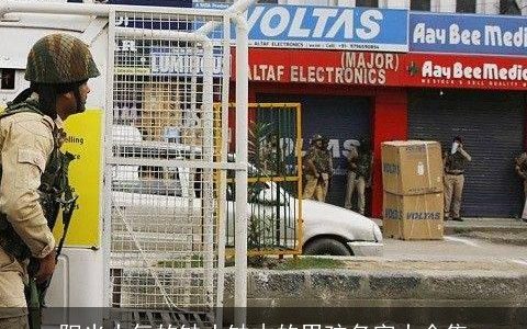 阳光大气的缺土缺木的男孩名字大全集