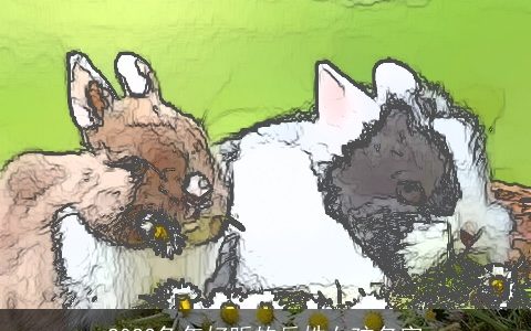 2024兔年好听的岳姓女孩名字