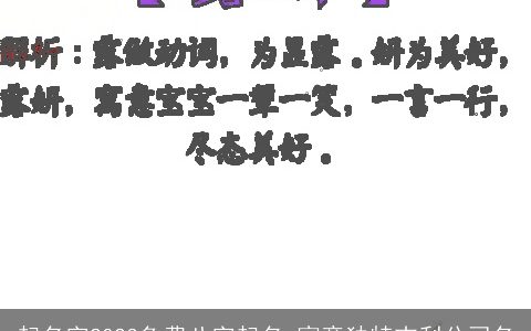 起名字2024免费八字起名 寓意独特吉利公司名