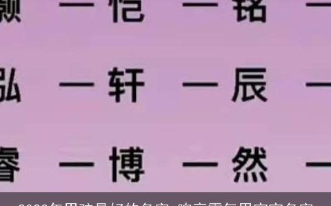2023年男孩最好的名字 响亮霸气男宝宝名字