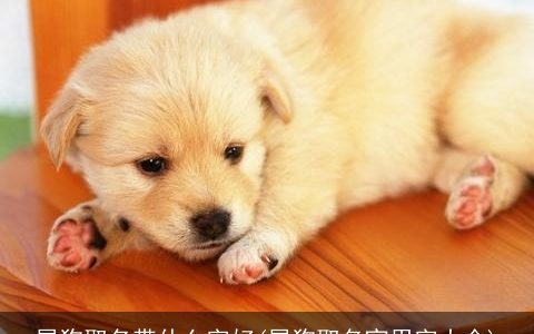 属狗取名带什么字好(属狗取名宜用字大全)