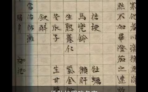 姓孙的男孩名字