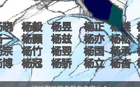 杨姓男孩取名鼠年名字大全