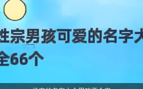 姓宗的名字大全男孩两个字