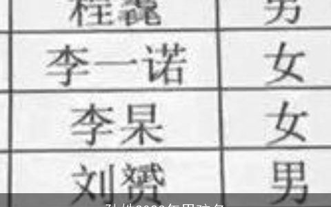 孙姓2024年男孩名