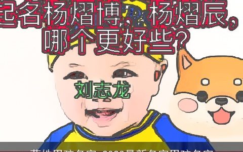 蓟姓男孩名字 2024最新名字男孩名字