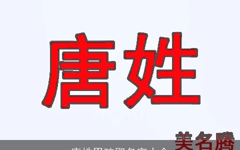 唐姓男孩取名字大全