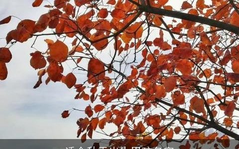 适合秋天出生男孩名字