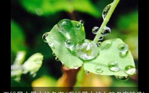 五行属木属水的名字(五行属水的女孩名字精选)