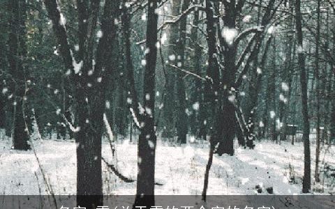 名字 雪(关于雪的两个字的名字)