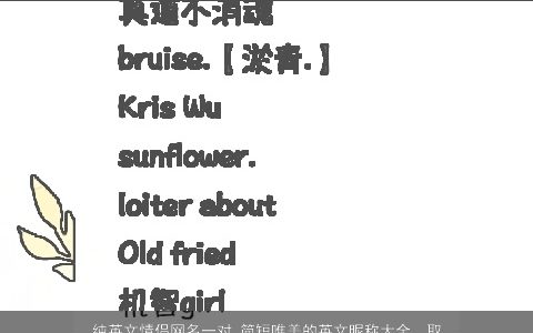 纯英文情侣网名一对 简短唯美的英文昵称大全  取名网 2024吉利唯美的英文情侣网名英文昵称名字