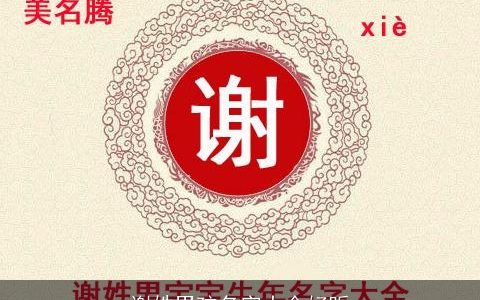 谢姓男孩名字大全好听