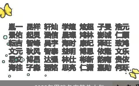 2023年男孩名字简单大气