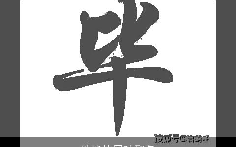 姓毕的男孩取名