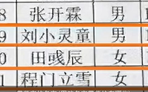 带紫字的名字(男孩名字带紫的有哪些)