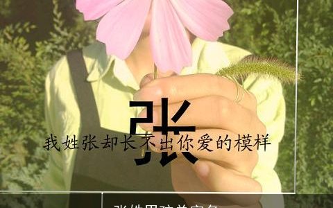 张姓男孩单字名