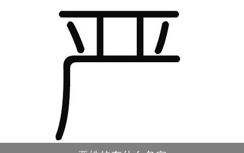 严姓的有什么名字