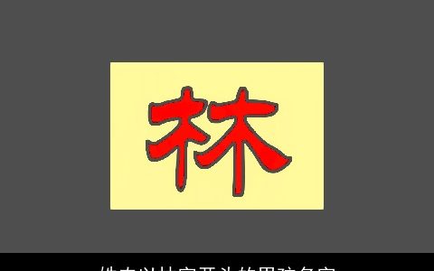 姓农以林字开头的男孩名字