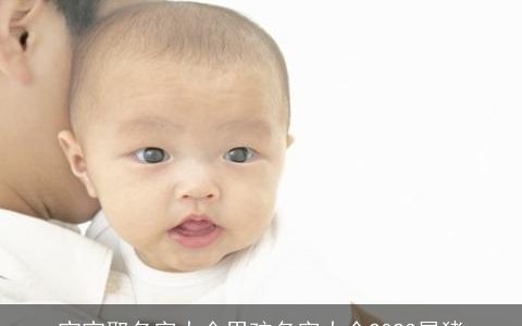 宝宝取名字大全男孩名字大全2023属猪