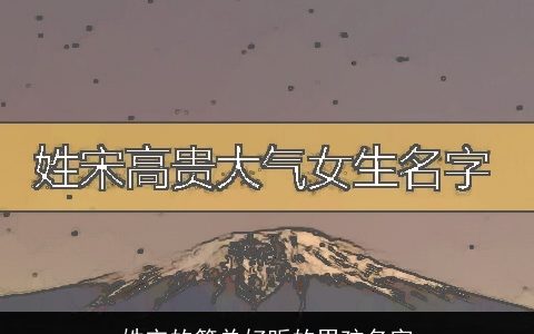 姓宋的简单好听的男孩名字