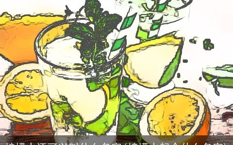 柠檬水还可以叫什么名字(柠檬水起个什么名字)