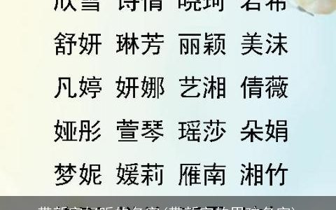 带新字好听的名字(带新字的男孩名字)
