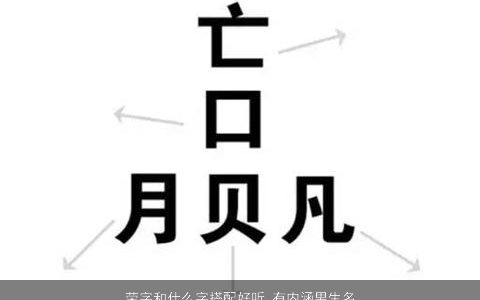 荣字和什么字搭配好听 有内涵男生名字大全2023 好听内涵的男生名精挑