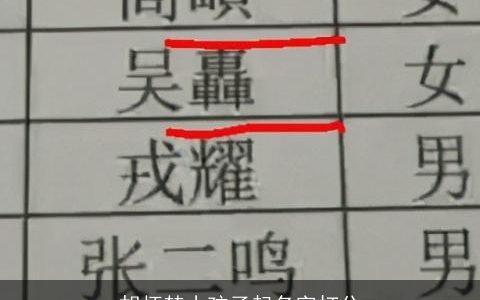 胡怀楚小孩子起名字打分