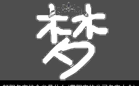 轩阳名字的含义是什么(带阳字的公司名字大全)