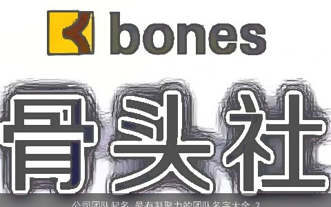 公司团队起名 最有凝聚力的团队名字大全 2024有内涵独一无二的公司团队团队名字最新