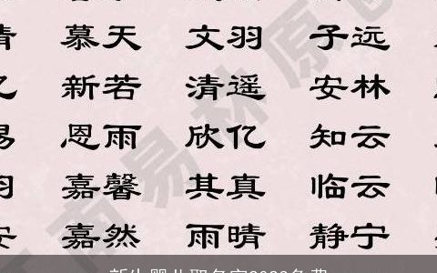 新生婴儿取名字2023免费