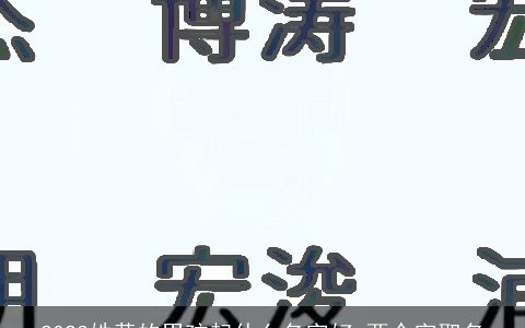 2024姓黄的男孩起什么名字好 两个字取名