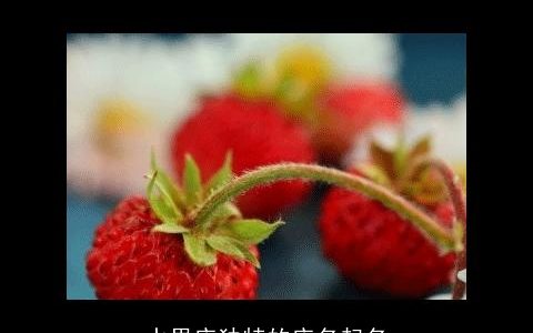 水果店独特的店名起名