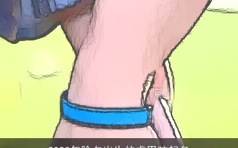 2023年除夕出生的虎男孩起名