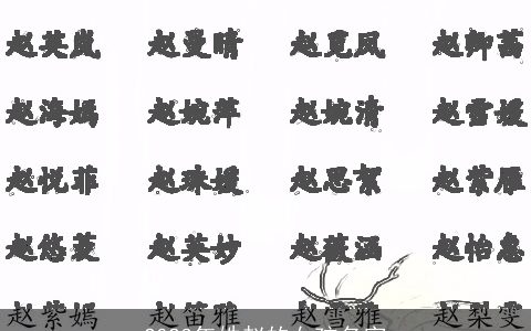 2023年姓赵的女孩名字