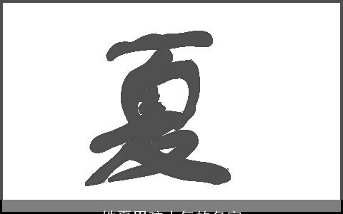 姓夏男孩大气的名字