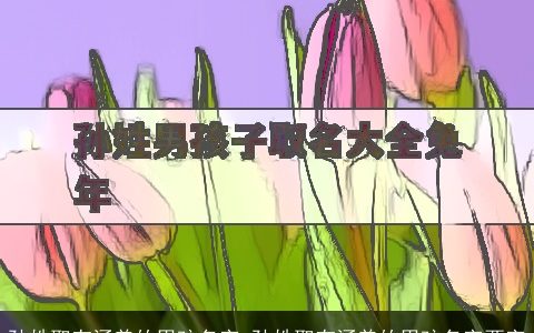 孙姓取有涵养的男孩名字 孙姓取有涵养的男孩名字两字