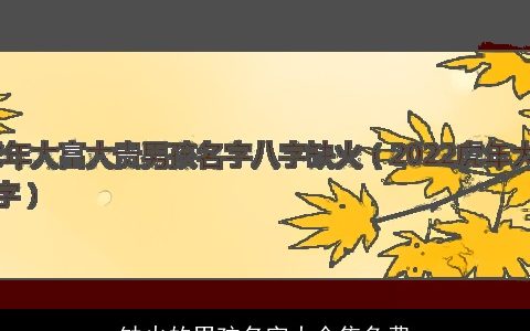 缺火的男孩名字大全集免费