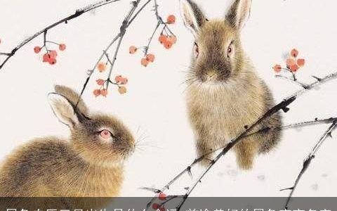 属兔农历三月出生是什么命运 前途美好的属兔宝宝名字