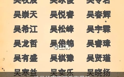 姓吴的宝宝取名字男孩