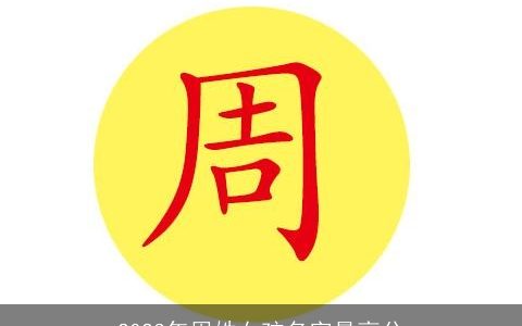 2024年周姓女孩名字最高分