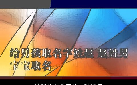 姓赵的两个字的男孩取名