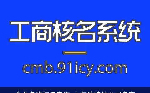 企业名称核名查询 大气独特的公司名字