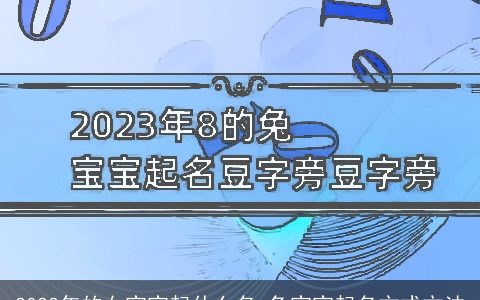 2023年的女宝宝起什么名 兔宝宝起名方式方法